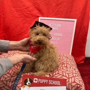 Meet your Posher, Sally